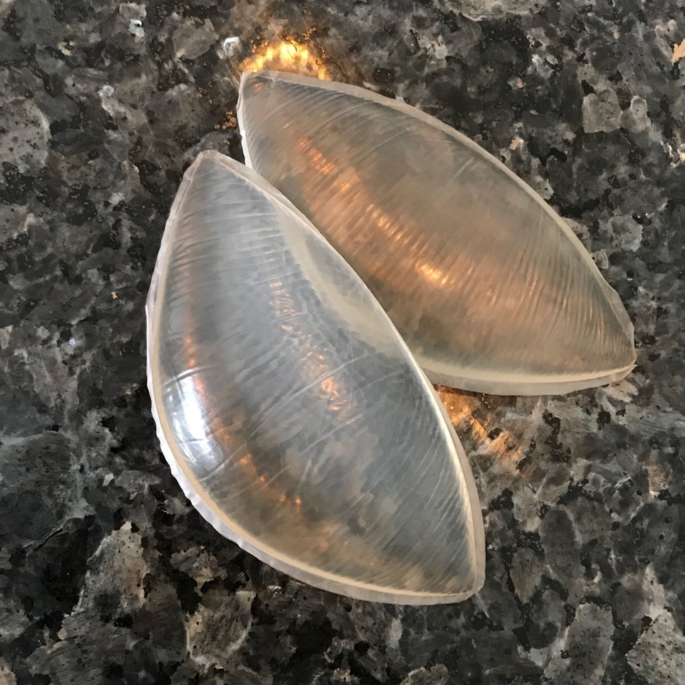 Silicone bra inserts